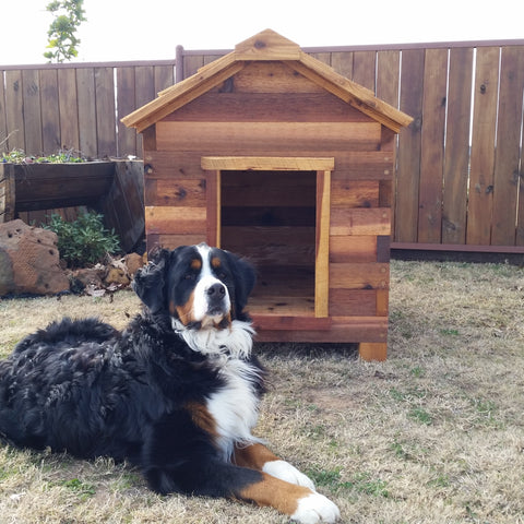 Cedar Dog Houses