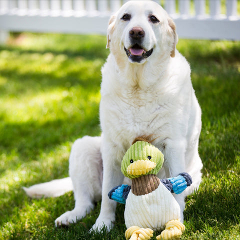 Hugglehounds Toys