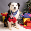 Festive Family Sweater, Fair Isle  Sweater  in Navy Blue: Dog - Sweater / 10