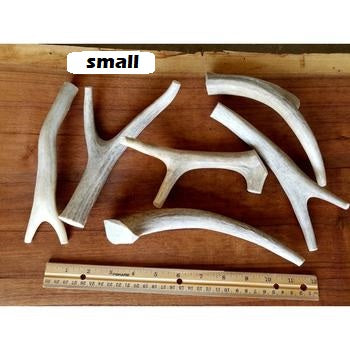 Antlers