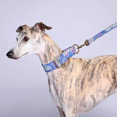 Outback martingale collar