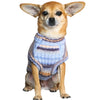 Custom-knit & Dyed Cozy Soft Gradient Yarn Crew Neck Sweater: Serene Blue / 8“