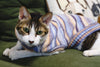 Custom-knit & Dyed Cozy Soft Gradient Yarn Crew Neck Sweater: Serene Blue / 8“