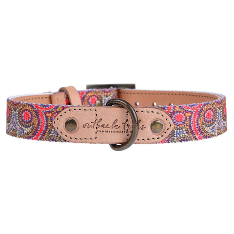 Leather Dog Collar - Snake Dreaming: Medium - 30cm to 39cm (width 2.3cm)