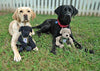 Warrior Canine Connection, Black Lab Knottie® Plush Dog Toy