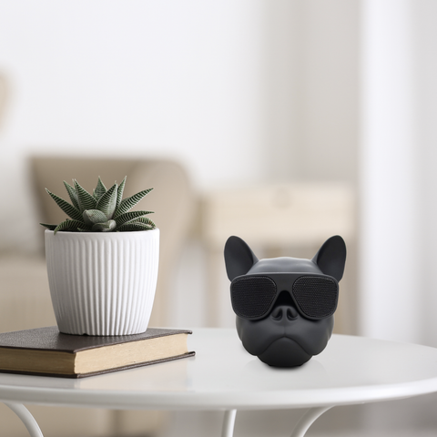 Air Fitz Wireless Speaker