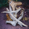 Antlers
